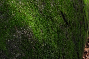AD4AC03B-D749-4AD6-A200-4F355E170F05/L0/001