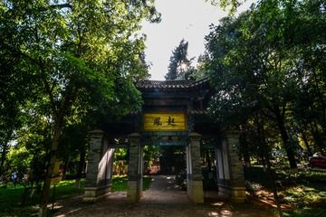 MAD_5034