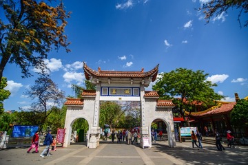 马迪-《翠湖美》