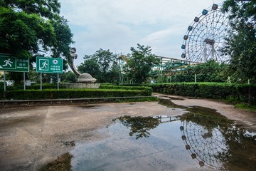 ABM_1106