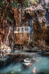 MAD_4978