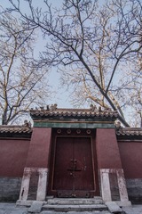 MAD_8774