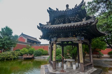 ABM_1293
