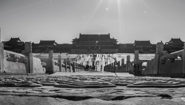MAD_8552