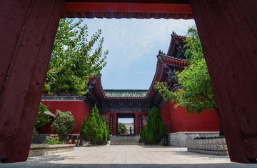MAD_0869
