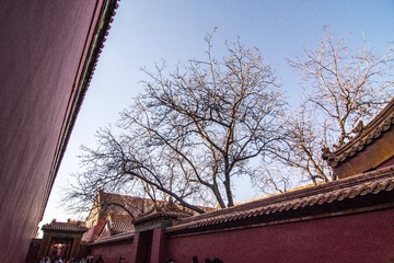 MAD_8776