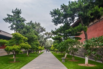 ABM_1029