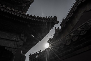MAD_8690