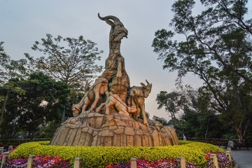1 (50)