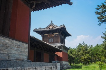 ABM_0877