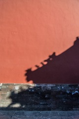 MAD_8755