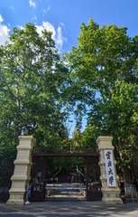 马迪-《百年云大》