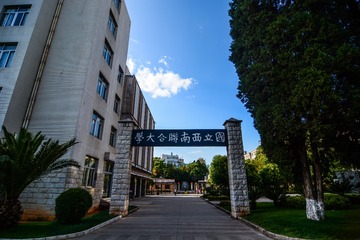 MAD_5115