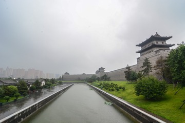 ABM_1154