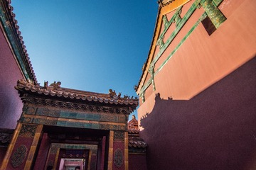 MAD_8756