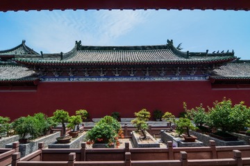 MAD_0839