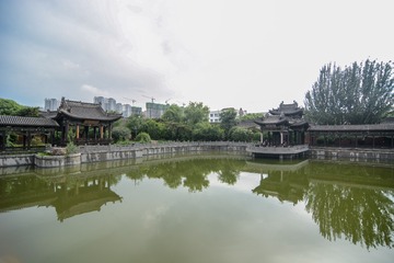 ABM_1338