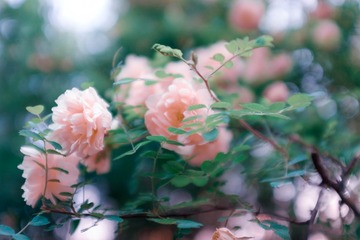 有信息