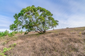 436459