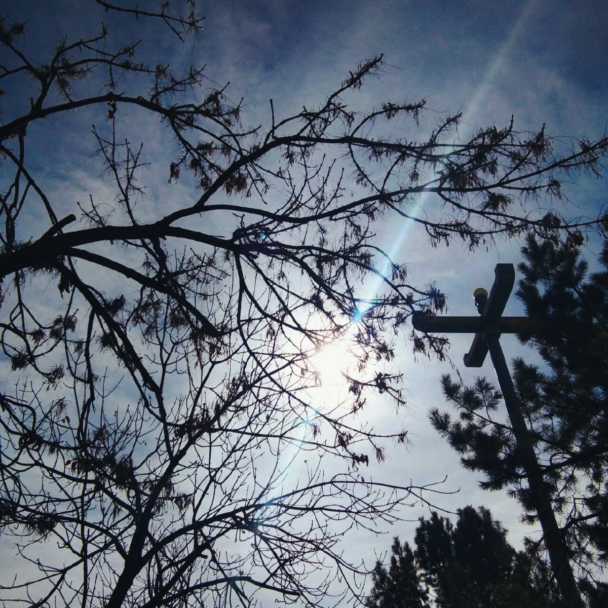 喜欢这样的烈阳,明晃晃的睁不开眼.