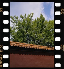 BFC36C99-D4AD-4790-9FBC-5A7DA493DA05/L0/001
