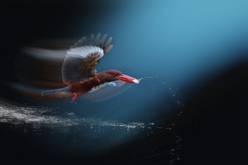 001