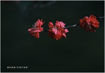 F0F566D7-BC64-48C6-B3CA-A51867596F8C/L0/001