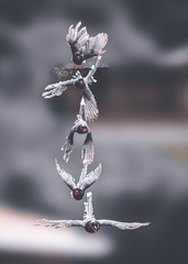 001