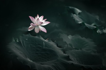 001