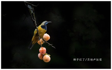 Optional("00D12BFA-BA0D-4811-B777-D8A79818A8EC/L0/001")