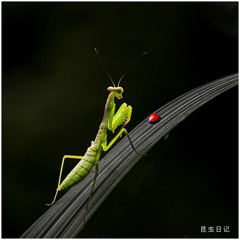 F78A60A2-9290-4955-A300-9BAFFEBE6F66/L0/001