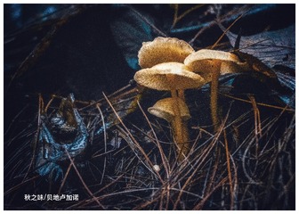 E1948116-092E-45EC-8D7E-0F24980CA89E/L0/001