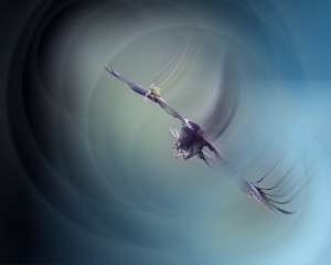001