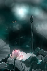 001