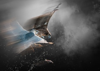 001