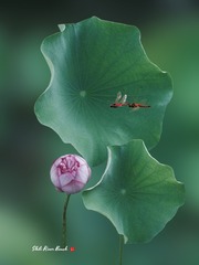001