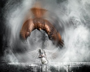 001