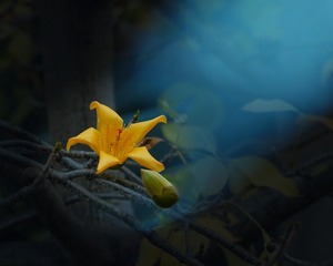 001