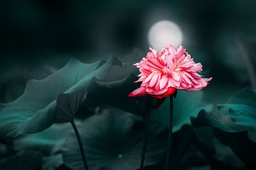 001