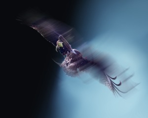 001