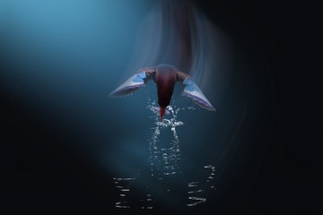 001