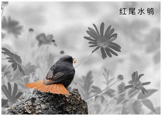 Optional("086FE6E1-6DD7-40BA-9372-3B8B8F41AF06/L0/001")