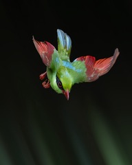 001