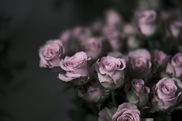 275CE28B-D334-405F-8418-0345CF855921/L0/001