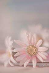 F6AD4FB0-8B15-4CB8-8ED5-75F1F04636BC/L0/001