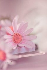 210047A7-52FA-4F86-93F3-D7A1DC641296/L0/001