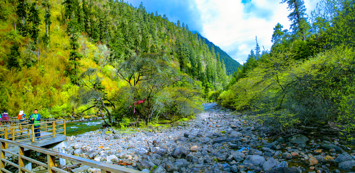 西藏小江南林芝南伊沟03