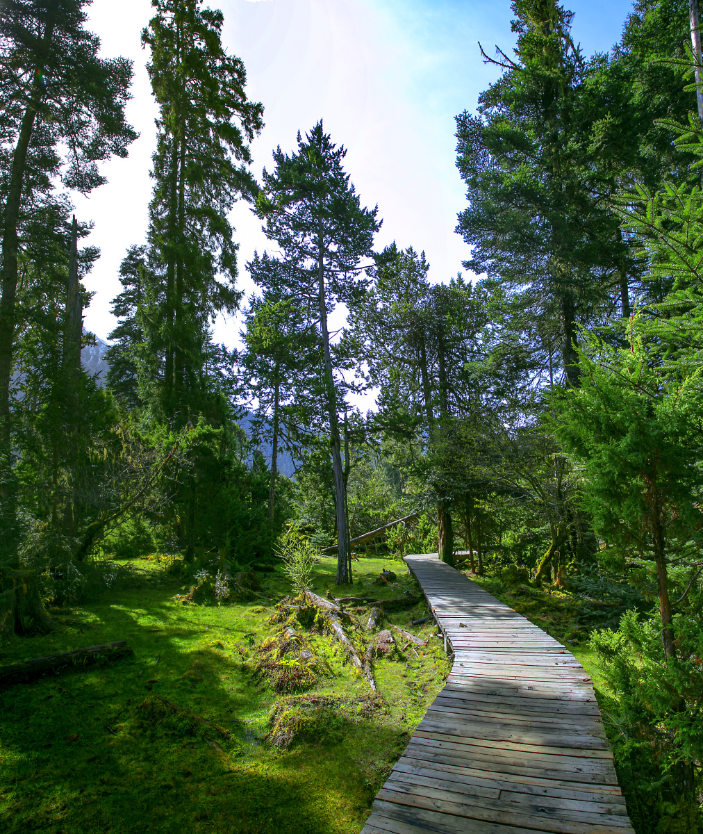 西藏小江南林芝南伊沟04