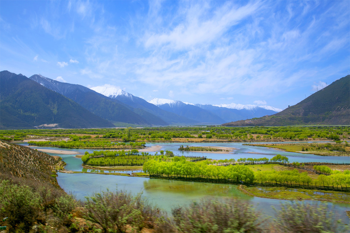 6分钟前 ·阅读25 鹤林雨露 关注 雅尼国家湿地公