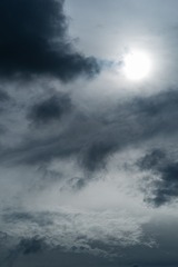 1000046310